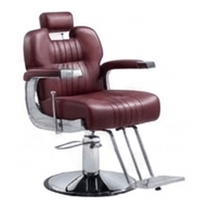 Beauty Parlour Chair