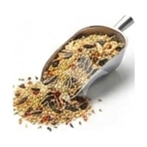 Bird Food