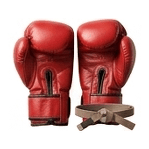Boxing Martial