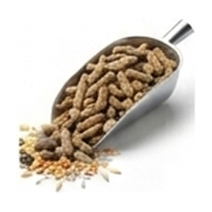 Cattle Feed