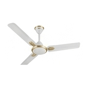 Ceiling Fans