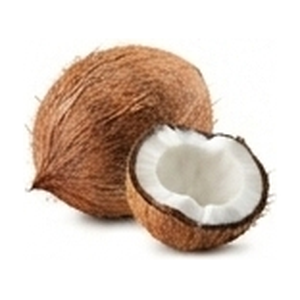 Coconut