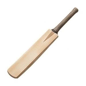Cricket Bat