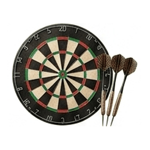 Darts Game