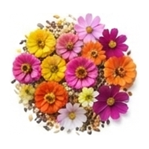 Flower Seeds