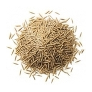 Grass Seeds