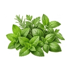 Herbs