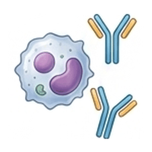 Immunomodulator Drugs