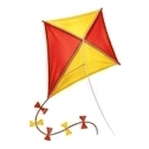 Kite