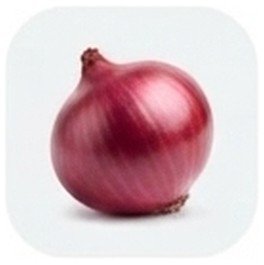 Onion