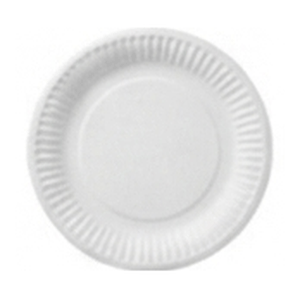 Paper Plate