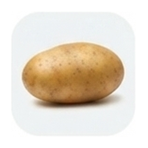 Potato