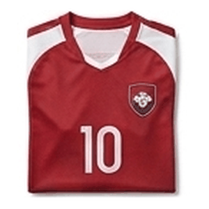 Team Sports Goods & Supplies