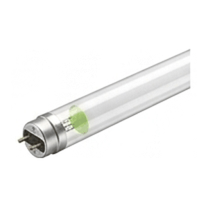 Tube Light
