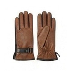 Warm Glove